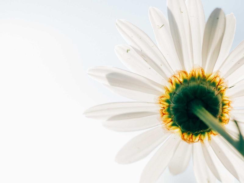 暗物质晕<br>ujcbtdu.cn 宇宙骨架结构